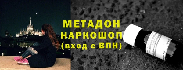сатива Алзамай