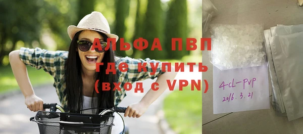 сатива Алзамай