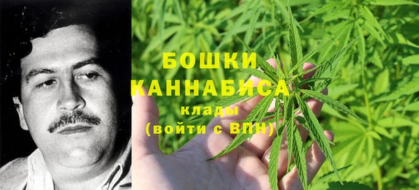 меф Ельня