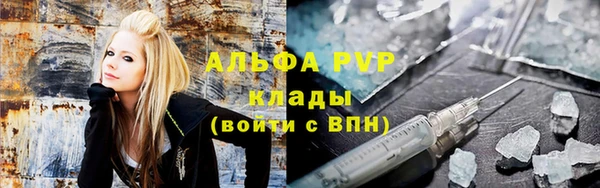 сатива Алзамай